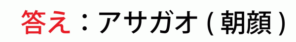 「かなづち通信」2021年夏号≪クロスワード答え≫サムネイル